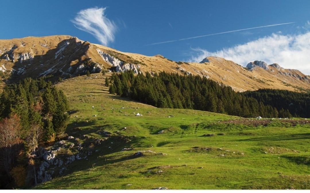 Apartma Jelendol Tržič Exteriör bild