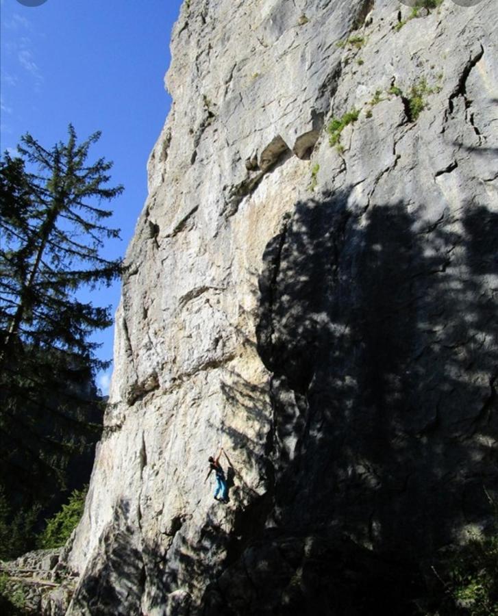 Apartma Jelendol Tržič Exteriör bild