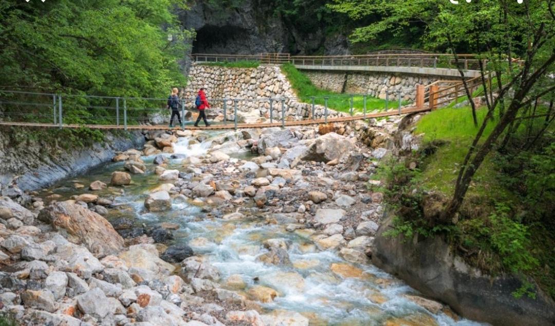 Apartma Jelendol Tržič Exteriör bild